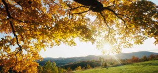 Getting Started With Christian Meditation Getting Started With Christian Meditation