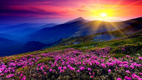 christian meditation and renewing the mind